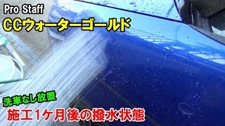 CCウォーターゴールド 施工から1ヶ月後の撥水状態をチェックしてみました