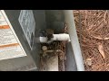 new 2019 goodman air conditioner running