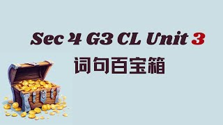 词句百宝箱丨Sec 4 G3 CL Unit 3