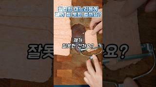 임신한 며느리에게 제가 잘 못한 걸까요?