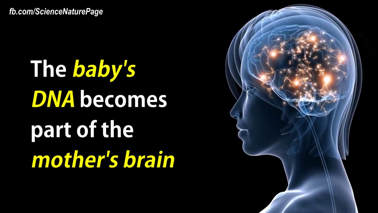 Baby's DNA In The Mother's Brain - YouTube