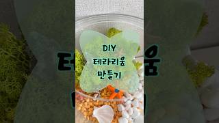 DIY 테라리움 만들기 스칸디아모스 키우기