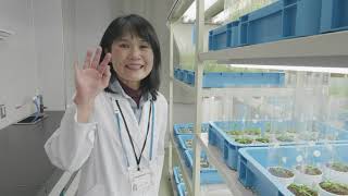 植物の研究を支える研究材料