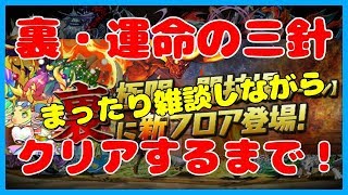 🔴【パズドラ】裏・運命の三針をまったり雑談しながらクリア目指す放送！【NAO】