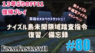 [PC/FF11] 13年振りの復帰プレイ ＃80 新ナイズル 復習／備忘録