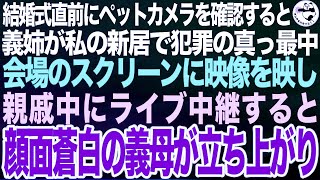 結婚式直前にペットカメラで新居を確認すると、義姉が犯罪行為の真っ最中。会場のスクリーンに映像を映し、音量を最大にして親戚中に一部始終をライブ中継したところ、顔面蒼白の義母