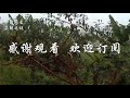 【中国历史未解之谜11】为什么古人在喝酒之前，要先烫酒？而我们现在不烫了呢？