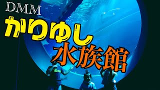 【沖縄】DMMかりゆし水族館　Okinawa's new aquarium