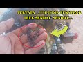 TERNYATA....!! Ini dia penyebab putaran trek sendat- sendat pada excavator pc200. @Belajarmekanikpemula .