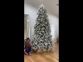 unboxing our 9 feet flocked christmas tree with my 4 years old shorts