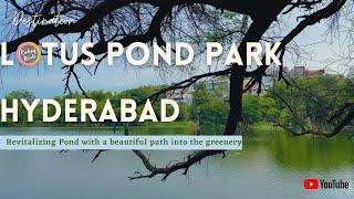 Lotus Pond Hyderabad | A beautiful place to spend time with your family in Hyderabad city | UltraHD