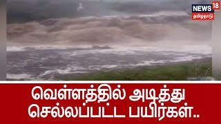 புயலால் உடைந்த கீழ்மடைப் பள்ளம் நீர்த்தேக்கம்.. வெள்ளத்தில் அடித்து செல்லப்பட்ட பயிர்கள்..