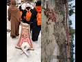 Masha Alla today live Makkah live Madina #trendingshorts #viralvideo #macca