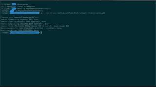 Install dockergento console