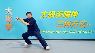 太極拳演示的三種运用方式|黃剛老師教學Practice the eye skills of Tai Chi