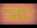 Entropy Deprivation on Bind / Named Servers