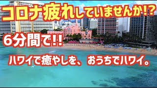 【ハワイで癒やしを、おうちでハワイ。】シェラトン・ワイキキ ロイヤルハワイアン モアナ・サーフライダー ハイアット・リージェンシー | HAWAII CINEMATIC VLOG