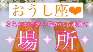 💍おうし座さん✨あなたが自然と導かれる運命の場所💍【大丈夫💖あなたにぴったりのタイミングで運命の場所に導かれます🥰】🌸💖【見たときがタイミング🥰】💖無料タロット💖カードリーディング💌