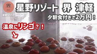 【りんご風呂にかまくら体験】冬の青森を満喫できるコスパ最高の温泉旅館！星野リゾート界津軽【宿泊費用も公開！】