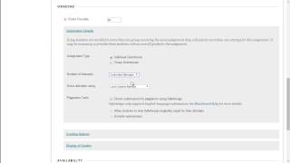 The Bb Assignment & SafeAssignment Merge