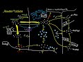 pharmacology 12 drug absorption bioavailability and first pass effect