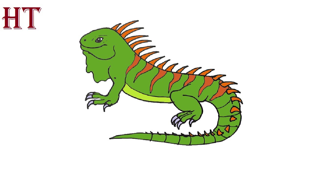 How To Draw An Iguana Easy Step By Step - YouTube