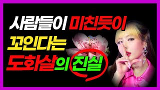 인기많은 사주? 자신의 도화살 제대로 알기, 사람들이 미친 듯이 꼬인다는 도화살의 진짜 숨겨진의미