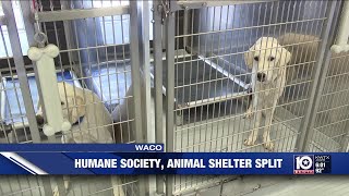 Humane Society of Central Texas officially leaves City of Waco Animal Shelter