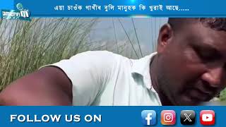 এয়া চাওঁক গাখীৰ বুলি মানুহক কি খুৱাই আছে...…