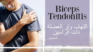 التهاب وتر ذات الرأسين العضدية   biceps tendonitis (subtitled)