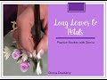 FolkArt One Stroke: Practice Strokes With Donna - Long Leaves and Petals | Donna Dewberry 2020