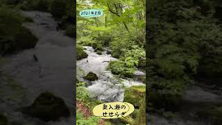 青森・奥入瀬渓流（2021年8月5日）わずか数秒ですが・・・#奥入瀬渓流