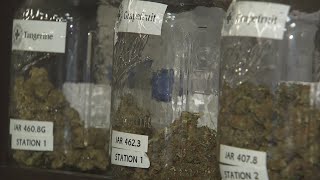 MCSO targets licensed marijuana delivery service in sting operation