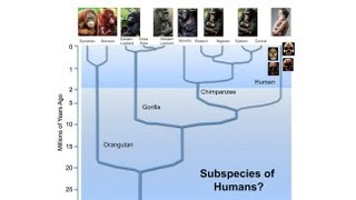 CARTA: The Origin of Us -- Michael Hammer: Interbreeding with Archaic Humans in Africa