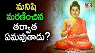 మనిషి మరణించిన తర్వాత ఏమవుతాడు | Gautama Buddha Best Sayings | MSR TV