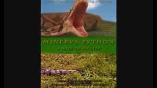 MINERVA PYTHON Teaser Trailer