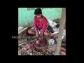 பாறைமீன் paraimeen big parai meen cleaning in tamil video u0026 how to check quality of big பாறைமீன்