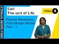 Cell - The unit of Life | NEET | Plasma Membrane - Fluid Mosaic Model - Part - 1 | Neela Bakore