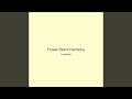 Forest Storm Harmony