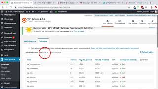 Как настроить плагин WP-Optimize на сайте WordPress для уменьшения размера базы данных