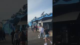 Seaworld San diego - 3-minute walkthrough from Manta Plaza to Shipwreak area California (12/31/2024)