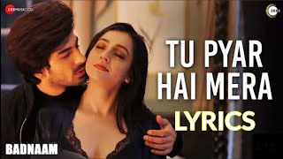 Tu Pyar Hai Mera Lyrics Yasser Desai | Badnaam, Priyal Gor & Mohit S, tu pyar hai mera Lyrical Video