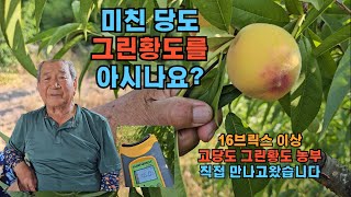 미친 당도의 그린황도 드셔보신분 계실까요?