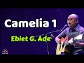 Ebiet G  Ade  -  Camelia 1  (Lirik Lagu)