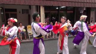 2014　いよさこい華魅　えひめよさこい祭り　本町商店街　２