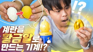 계란을 황금알로 변신시켜주는 타임캡슐?! 에그 스피너를 사용해보았다!