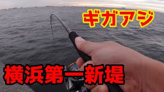 2019年9月横浜の第一新堤