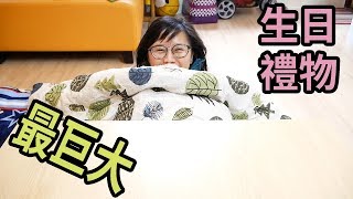 【粉黃豬】史上最巨大生日禮物！冬天最佳宅物！宜得利家居暖桌 (CC字幕)  #米格魯開箱