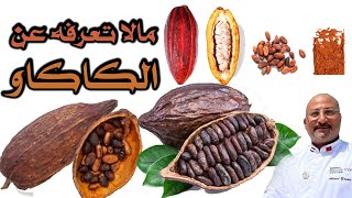 انواع الكاكاو اعرف الفرق بين الغامق والفاتح