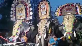 Thazhuthala Gajamela 2018